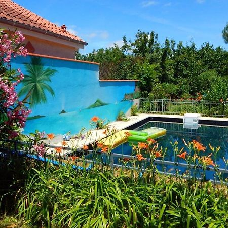 2 Chambres Et Salle De Bain Un Oasis De Bien Etre Piscine Et Jardin Direct Gare Aeroport 툴루즈 외부 사진