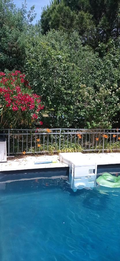 2 Chambres Et Salle De Bain Un Oasis De Bien Etre Piscine Et Jardin Direct Gare Aeroport 툴루즈 외부 사진