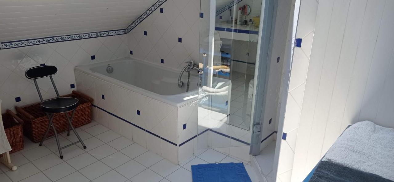 2 Chambres Et Salle De Bain Un Oasis De Bien Etre Piscine Et Jardin Direct Gare Aeroport 툴루즈 외부 사진