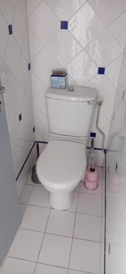 2 Chambres Et Salle De Bain Un Oasis De Bien Etre Piscine Et Jardin Direct Gare Aeroport 툴루즈 외부 사진