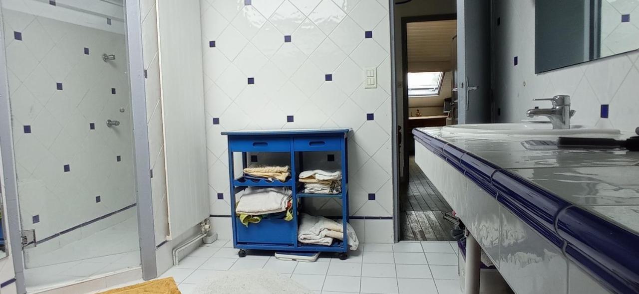 2 Chambres Et Salle De Bain Un Oasis De Bien Etre Piscine Et Jardin Direct Gare Aeroport 툴루즈 외부 사진
